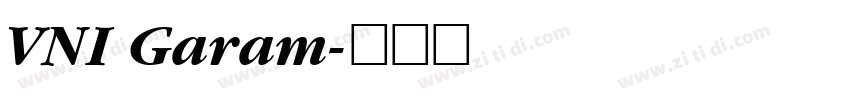 VNI Garam字体转换